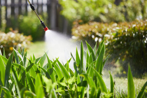 24/7 Emergency Wasp Removal experts in Waverly, TN