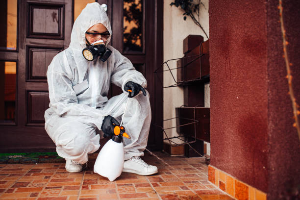 Reliable Wasp Removal contractor in Waverly, TN by Show Me Pest Control